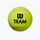 Wilson Team Practice tennis balls 4 pcs yellow WRT111900 2