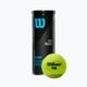 Wilson Tour Premier All Ct tennis balls 3 pcs yellow WRT109400