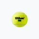 Wilson Tour Premier All Ct tennis balls 3 pcs yellow WRT109400 3