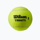Wilson Triniti TBall tennis balls 4 pcs yellow WRT115200+ 2