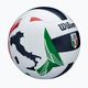 Wilson Italian League VB Official Gameball size 5 2