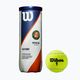 Wilson Roland Garros Clay Ct tennis balls 3 pcs yellow WRT125000