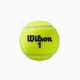 Wilson Roland Garros Clay Ct tennis balls 3 pcs yellow WRT125000 3