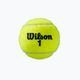 Wilson Roland Garros All Ct tennis balls 3 pcs yellow WRT126400 2