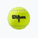 Wilson Roland Garros All Ct 4 Ball tennis balls 2Pk 8 pcs yellow WRT116402 4