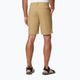 Columbia Washed Out men's trekking shorts brown 1491953243 2