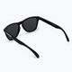 Oakley Frogskins sunglasses polished black/prizm black 0OO9013 2