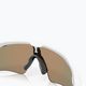 Oakley Radar EV Path sunglasses polished white/prizm ruby 7