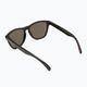 Oakley Frogskins matte black/prizm black polarized sunglasses 0OO9013 2