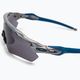 Oakley Radar EV Path holographic/prizm grey 0OO9208 cycling glasses 4