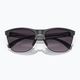 Oakley Frogskins Lite sunglasses 9