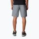 Columbia Washed Out men's trekking shorts grey 1491953021 2