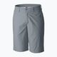 Columbia Washed Out men's trekking shorts grey 1491953021 6