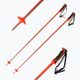 Salomon Arctic ski poles orange L40559100 6