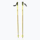 Salomon Arctic ski poles yellow L40559200
