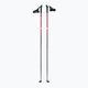 Salomon Escape Sport cross-country ski poles black/red L40875200