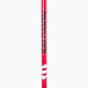 Salomon Escape Sport cross-country ski poles black/red L40875200 3