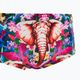 Men's Funky Trunks Sidewinder Trunks colourful swim boxers FTS010M0083430 3
