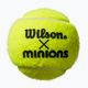 Wilson Minions Tennis children's tennis balls 3 pcs yellow WR8202401 4