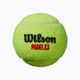 Wilson Padel Balls 3 pcs yellow WR8900801001 2