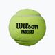 Wilson Padel Speed Balls 3 pcs yellow WR8901101001 2