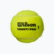 Wilson Triniti Pro Tball tennis balls 4 pcs yellow WR8204801001 2