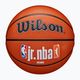 Wilson NBA JR Fam Logo Authentic Outdoor brown basketball size 6
