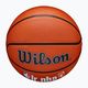 Wilson NBA JR Fam Logo Authentic Outdoor brown basketball size 6 4