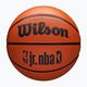 Wilson NBA basketball JR Drv Fam Logo brown size 7