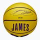 Wilson NBA Player Icon Mini Lebron yellow size 3 children's basketball 4