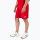 Joma Nobel men's football shorts red 100053 2