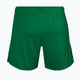 Women's training shorts Joma Short Paris II green 900282.450 2