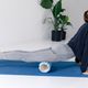 TREXO EVA PVC massage roller blue MR-EV01N 11