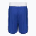 Men's training shorts Everlast Amateur Competition blue 2
