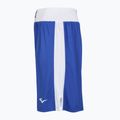 Men's training shorts Everlast Amateur Competition blue 3
