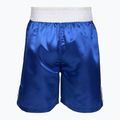 Men's Everlast Trunks Pro blue/white training shorts 2