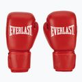 Boxing gloves Everlast Amateur Competition H&L red 2