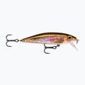 Rapala X-Rap Countdown Live Rainbow Trout wobbler RA5818181