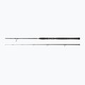 Penn Legion Cat Silver Spin black/silver catfish rod