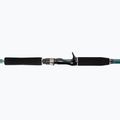 Abu Garcia Beast X Pike 842 Xh 40-140G Casting green rod 1528376 3