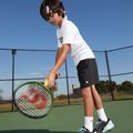 Children's tennis racket Wilson Blade Feel Comp 25 green WR125310U 13