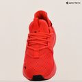 Men's running shoes PUMA Softride Enzo Evo high risk red/puma black 19