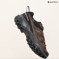 Men's trekking boots Salomon X ULTRA 360 LTR GTX dark earth/delicioso/ sharkskin 20