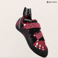 La Sportiva Tarantula red plum women's climbing shoe 15