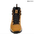 Columbia Newton Ridge Plus II Wp elk/black men's trekking boots 18