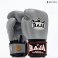 Boxing gloves RAJA BOXING Single Standard Genuine Leather grey 8