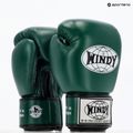 Boxing gloves WINDY Classic Genuine Leather green 8