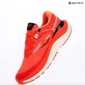 Men's running shoes Joma Fenix coral 7