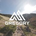 Gregory Kiro 20 l RC hiking backpack legion blue 4