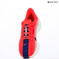 Women's running shoes Nike Pegasus Plus bright crimson / deep royal blue / silt red 12